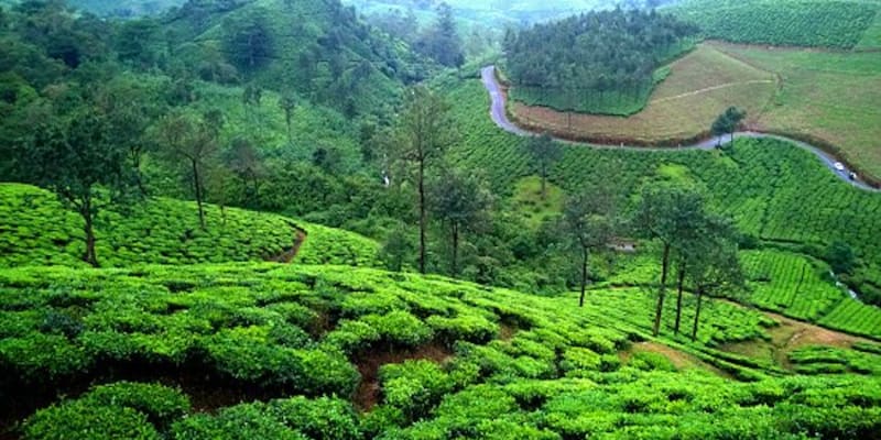 Vagamon