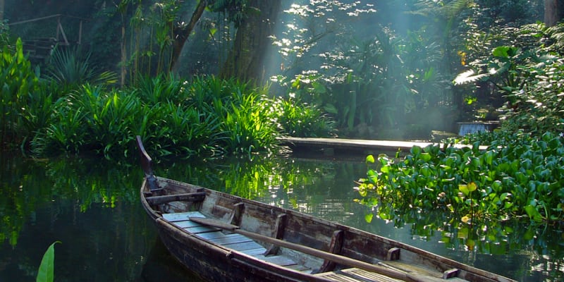 Tropical Spice Garden