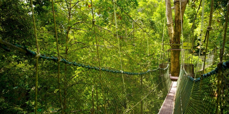 Penang National Park