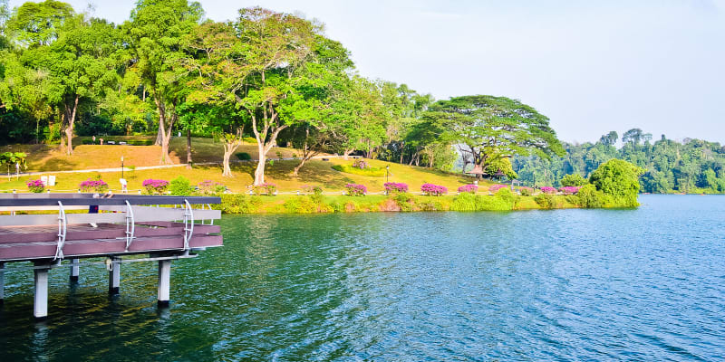 Macritchie Reservoir