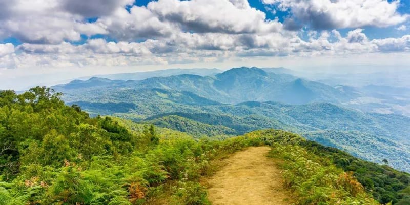 Trek to Mountain Doi Inthanon