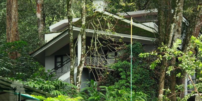 The Tall Trees Resorts