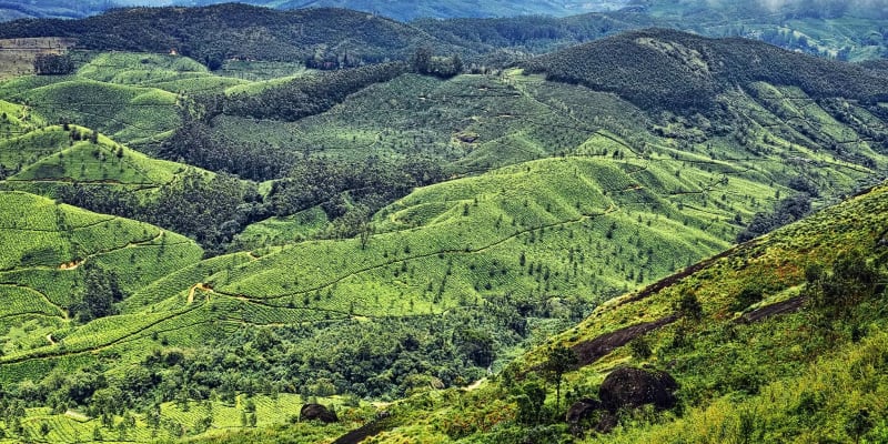 Pothamedu View Point