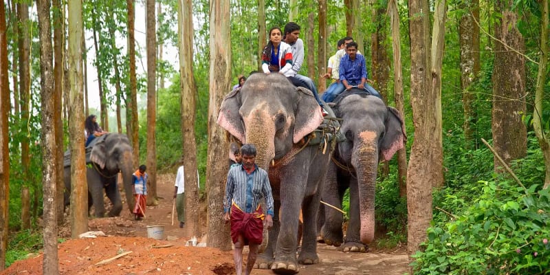 Carmelagiri Elephant Park