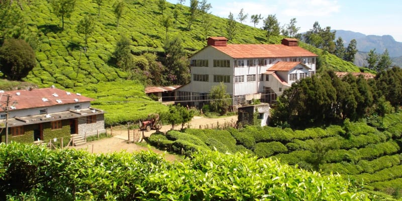Kolukkumalai Tea Estate, Munnar