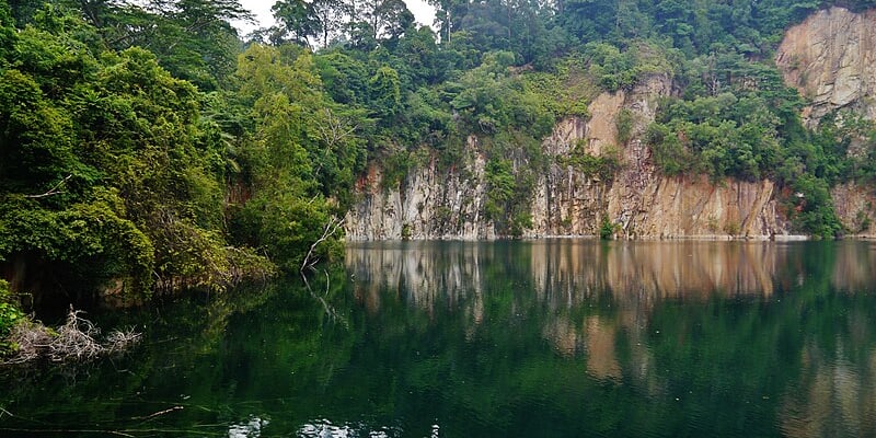 Explore the Emerald Hills