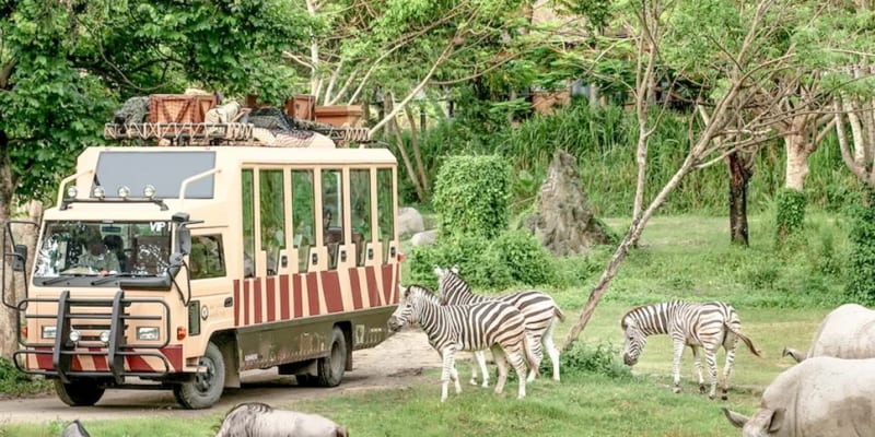 Enjoy a Visit to Bali Safari & Marine Park