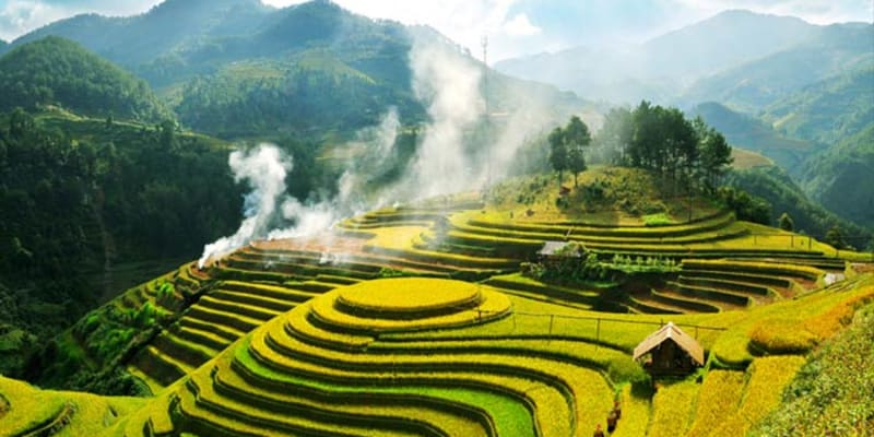 Ubud Rice Field Trekking