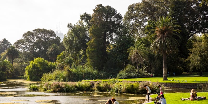 Picnic at Royal Botanic Gardens