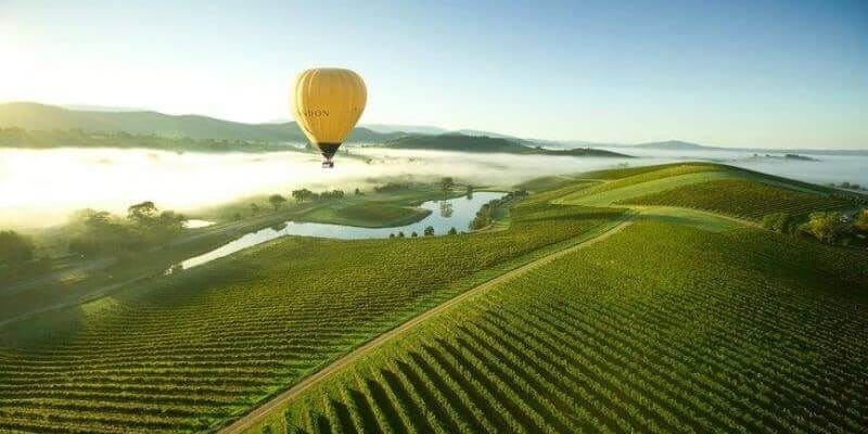 Sip Wine at Yarra Valley
