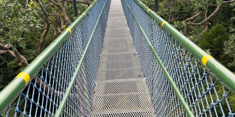 Tree-Top Walk At MacRitchie Reservoir