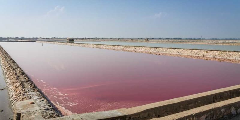 Sambhar Salt Lake