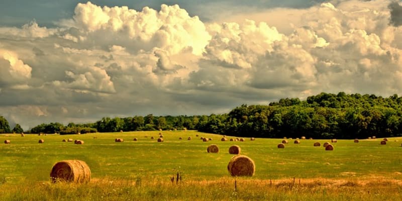 Countryside Farm