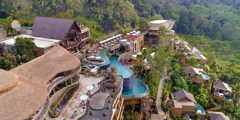 The Jungle Resort