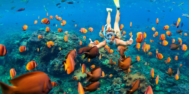 Experience Snorkeling at Key Largo National Marine Sanctuary