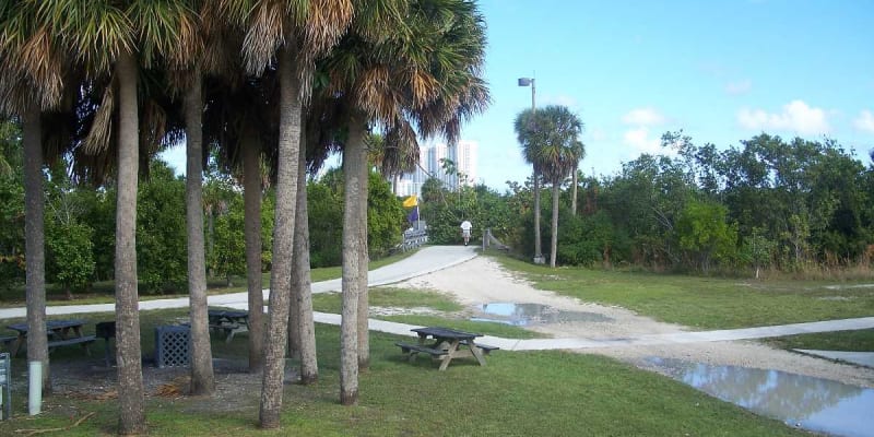 Afternoon Picnic at the Jungle Island Eco-Park