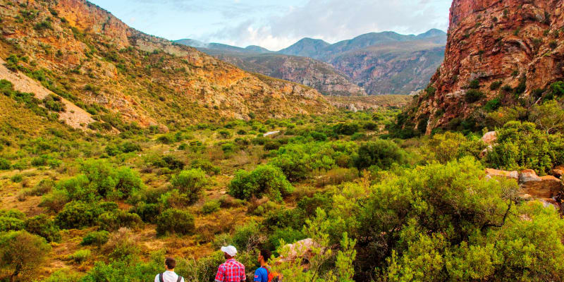 Leopard Trail