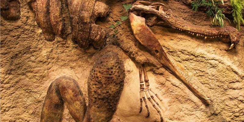 Akal Wood Fossil Park