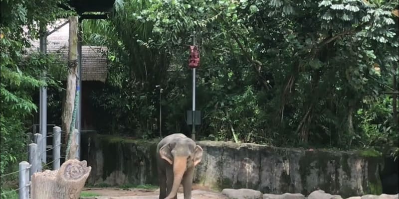 Keepers’ Chit Chat