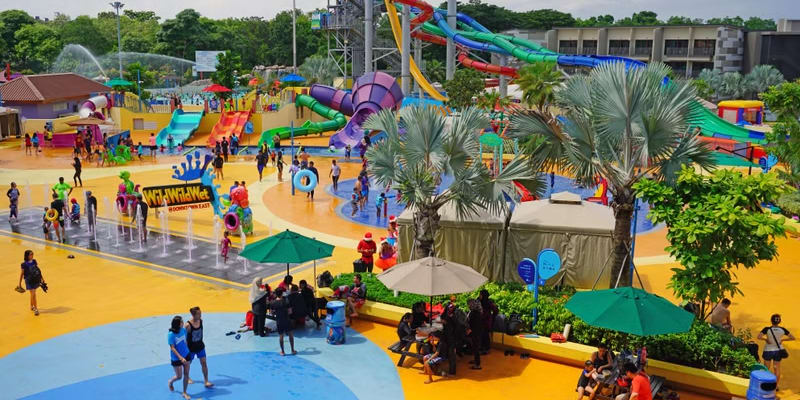 Rainforest Kidzworld