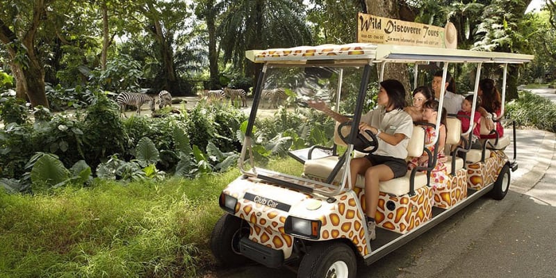 Take Wild Discoverer Tour