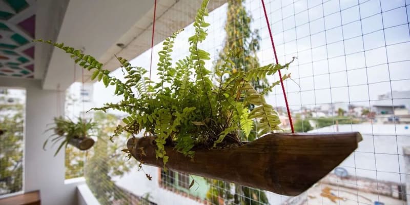 Le Pension Kesar Vilas