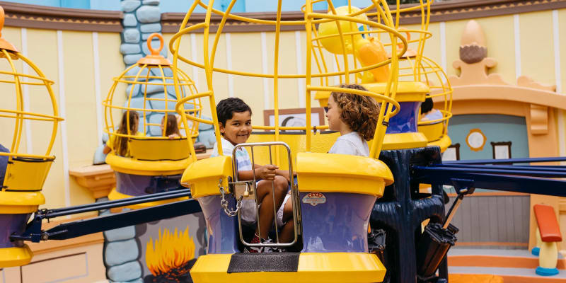 Sylvester And Tweety Cages