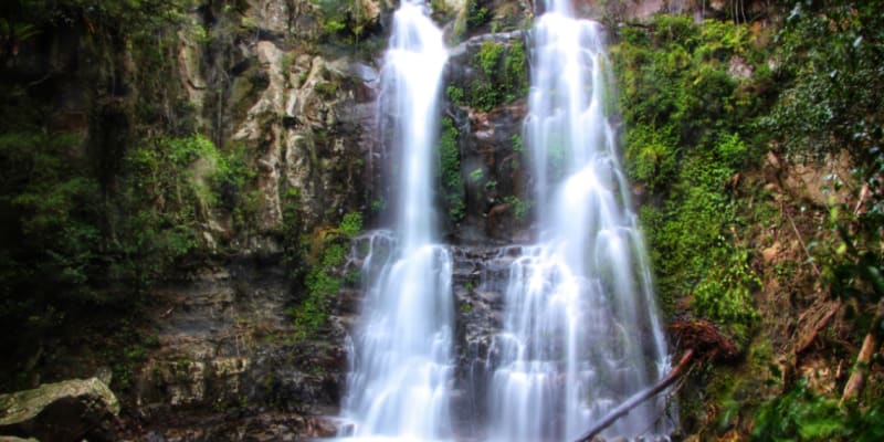 Minnamurra Falls