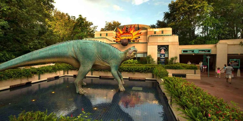 Have Fun at Disney's Animal Kingdom Theme Park