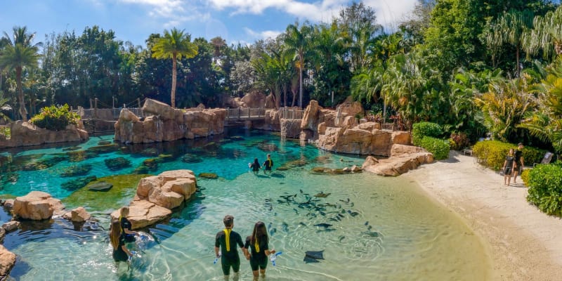 Discovery Cove Tickets, Orlando