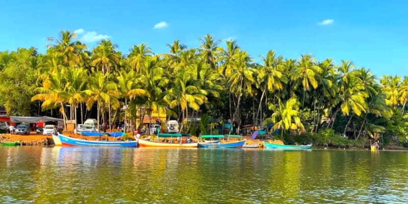Sharavathi Backwaters