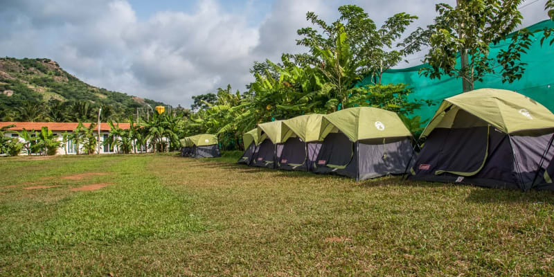 Camp Adrenaline