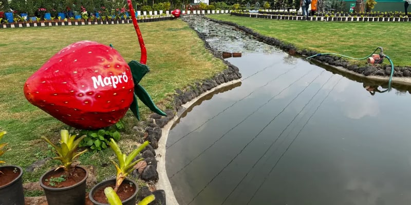 Lonavala Mapro Garden