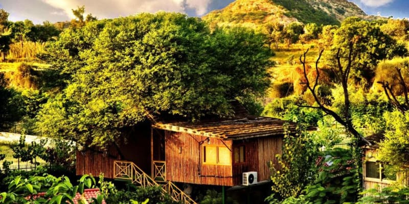 The Tree House Resort