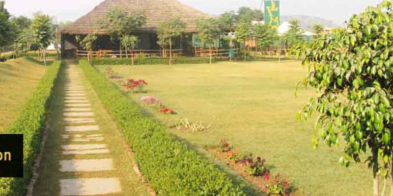 Camp Mustang & Resort
