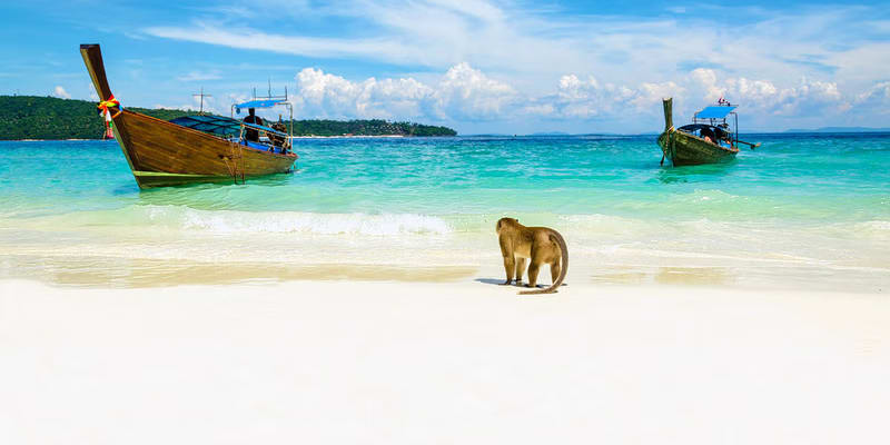 Monkey Beach