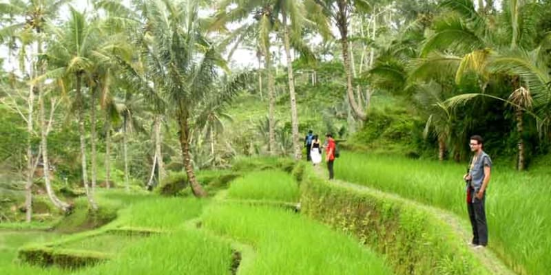 Ubud Eco Trekking