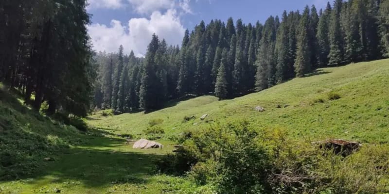 Kuppar Bugyal Trek
