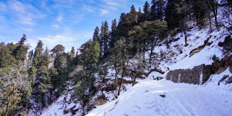 Hatu Peak Trek