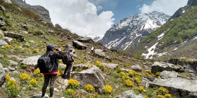 Deo Tibba Trek