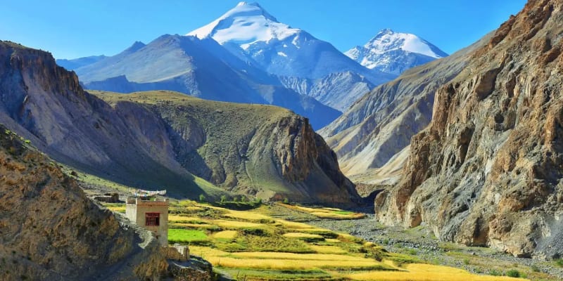Markha Valley Trek