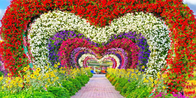 Dubai Miracle Garden
