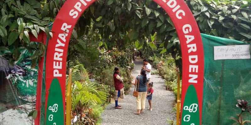 Flavor Ranch Visit and Shopping