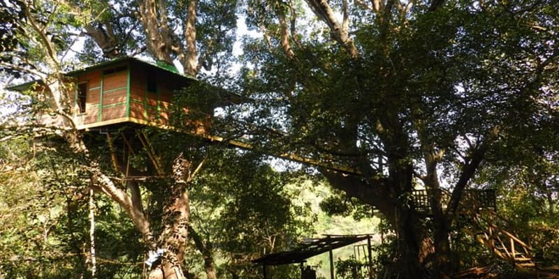 Hornbill River Resort