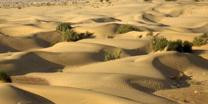 Khuri Sand Dunes, Jaisalmer