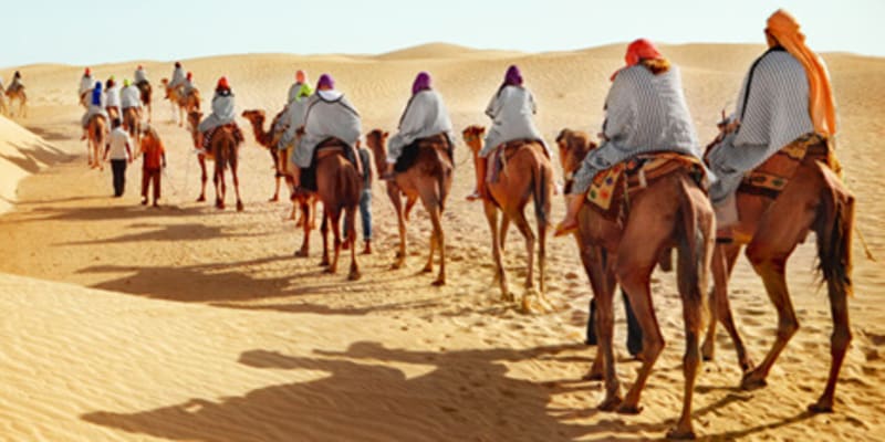 Sand Dunes in Bikaner
