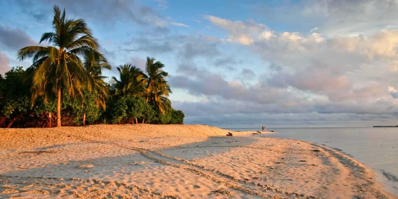 Selingan Turtle Island