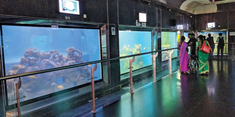Taraporewala Aquarium