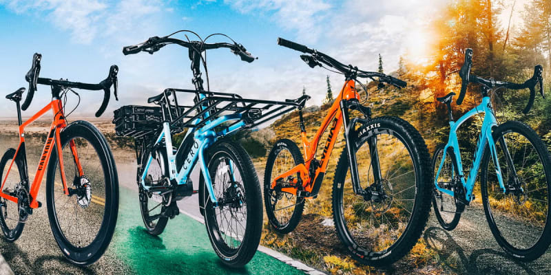 Essential Bicycle Models