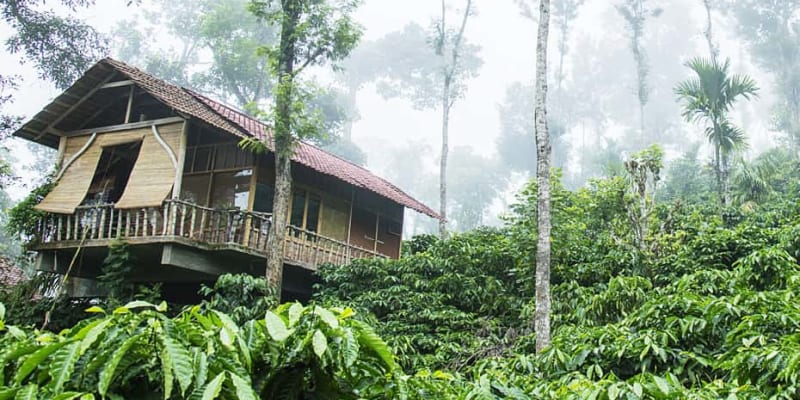 The Coffee County Resort, Wayanad
